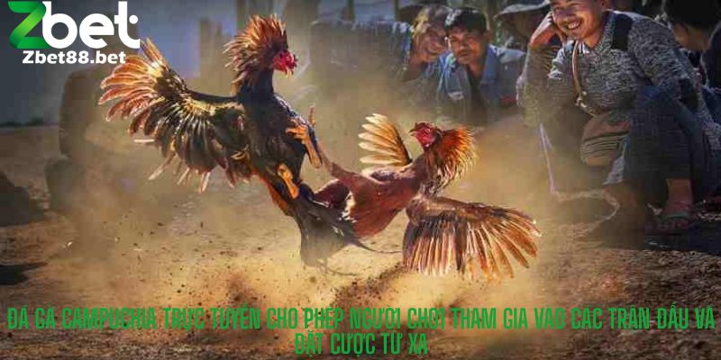 Đá gà Campuchia trực tuyến cho phép người chơi tham gia vào các trận đấu và đặt cược từ xa