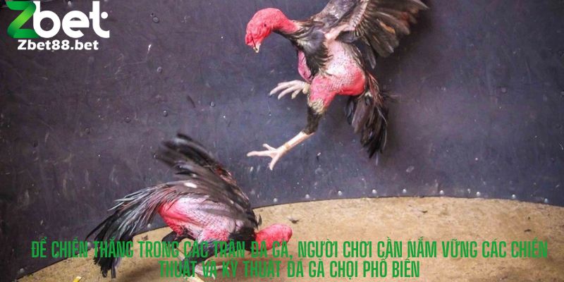 Để chiến thắng trong các trận đá gà, người chơi cần nắm vững các chiến thuật và kỹ thuật đá gà chọi phổ biến