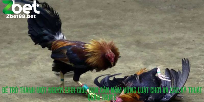 Để trở thành một người chơi giỏi, bạn cần nắm vững luật chơi và các kỹ thuật quan trọng